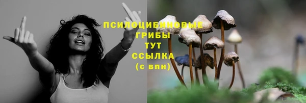 mix Баксан