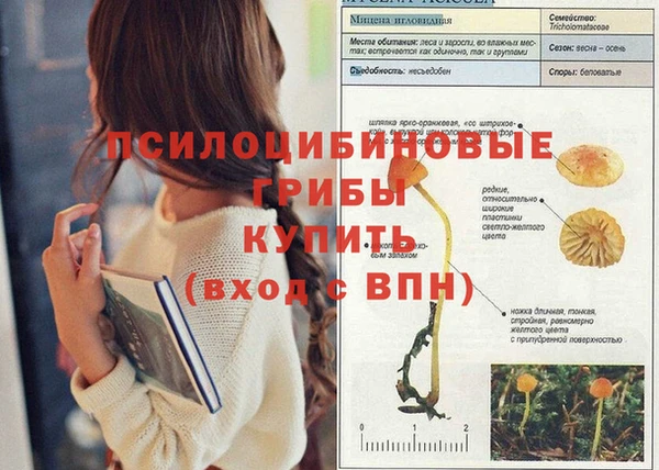 первитин Балабаново