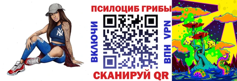 Псилоцибиновые грибы Cubensis  как найти   гидра онион  Куйбышев 